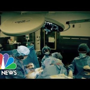 Federal govt publicizes organ transplant draw overhaul plans