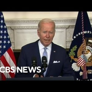 Biden says Senate bill to wrestle inflation, decrease health costs and offer protection to native weather is a “vast deal”