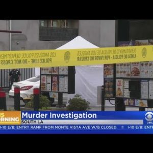 Girl chanced on shot to death in South LA quick meals automobile car parking zone