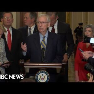 McConnell: Authorities shutdowns had been ‘a loser for Republicans politically’