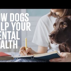 7 Ways Canine Can Aid Your Mental Health