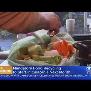 Food Rupture Regulations Goes Into Dwell On Jan. 1