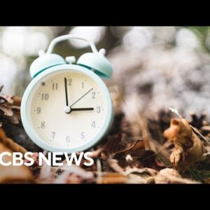 Why Daylight hours Saving Time is tainted for your health