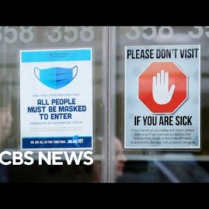 Sleek York Metropolis health officials counsel carrying masks as virus cases rise