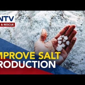 DA to allocate P100M in 2023 to beef up salt production