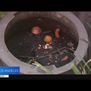 California requiring residents to compost their meals scraps