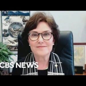 Senator Jacky Rosen on proposed gas tax relief, formative years mental effectively being