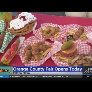 Orange County Ideal meals highlight
