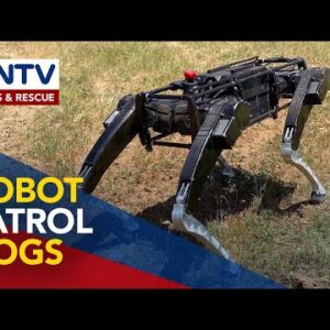 U.S. develops robot canines to patrol its border with Mexico