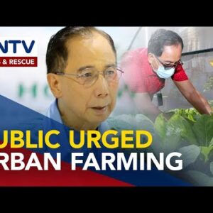 DA urges public to attain urban gardening as world meals disaster looms