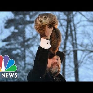 Punxsutawney Phil makes 2023 Groundhog Day prediction | NBC Info