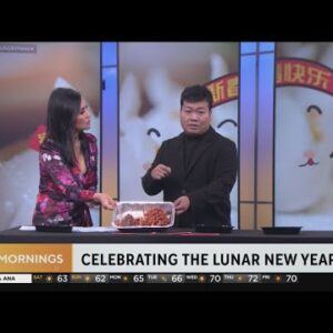 Lunar Original one year food dishes